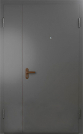 Фото двери «Техническая дверь №6 полуторная» в Уфе